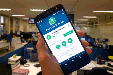 whatsapp businees